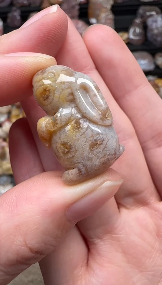 颈饰未镶嵌硅化珊瑚（珊瑚玉）576