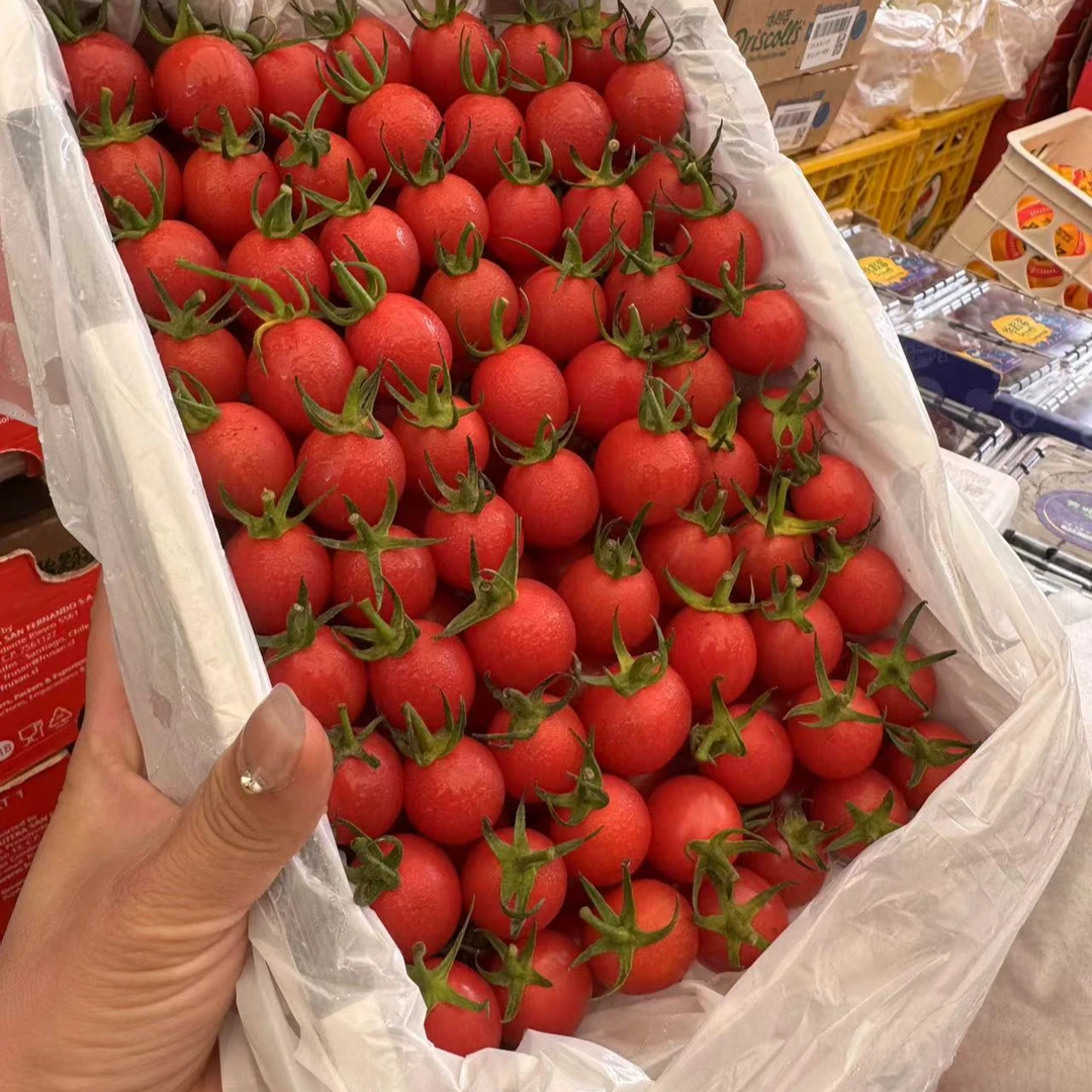 【顺丰包邮】小番茄4斤两箱装番茄同城送小番茄浙江省温州市