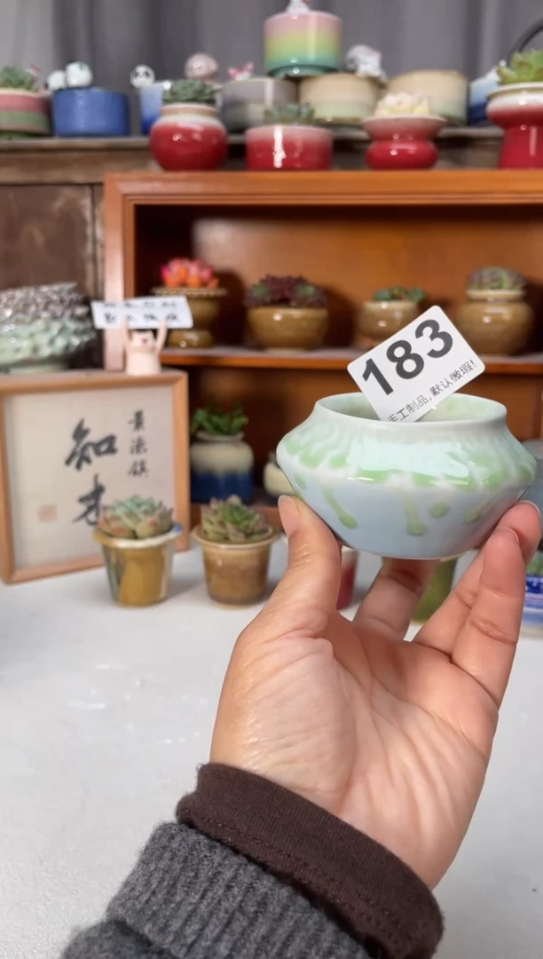 瓷片183知木小芳花盆直播编号