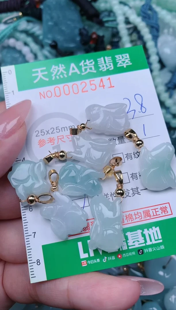 翡翠未镶嵌颈饰.0002541多样性发其中之一