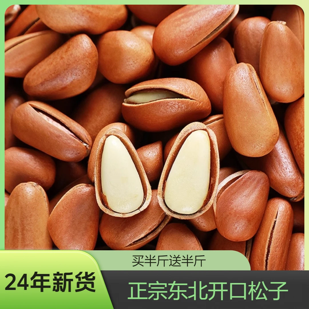【开口松子买半斤送半斤】开口松子今年新品500克