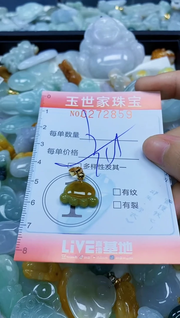 翡翠未镶嵌颈饰闪购0272859多样性发其一
