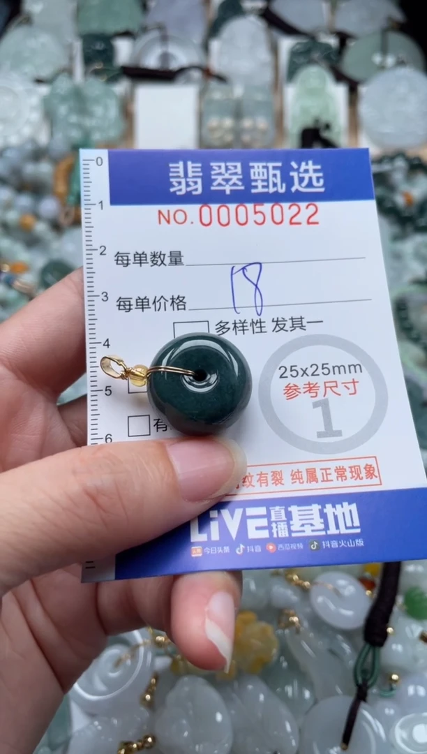 翡翠未镶嵌颈饰00..5022