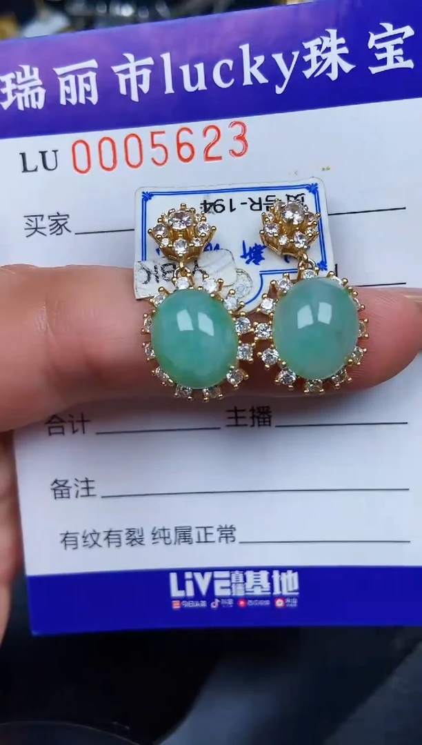 翡翠银S925镶嵌颈饰5623