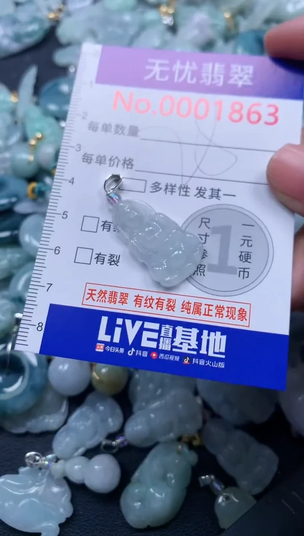 颈饰未镶嵌翡翠1863