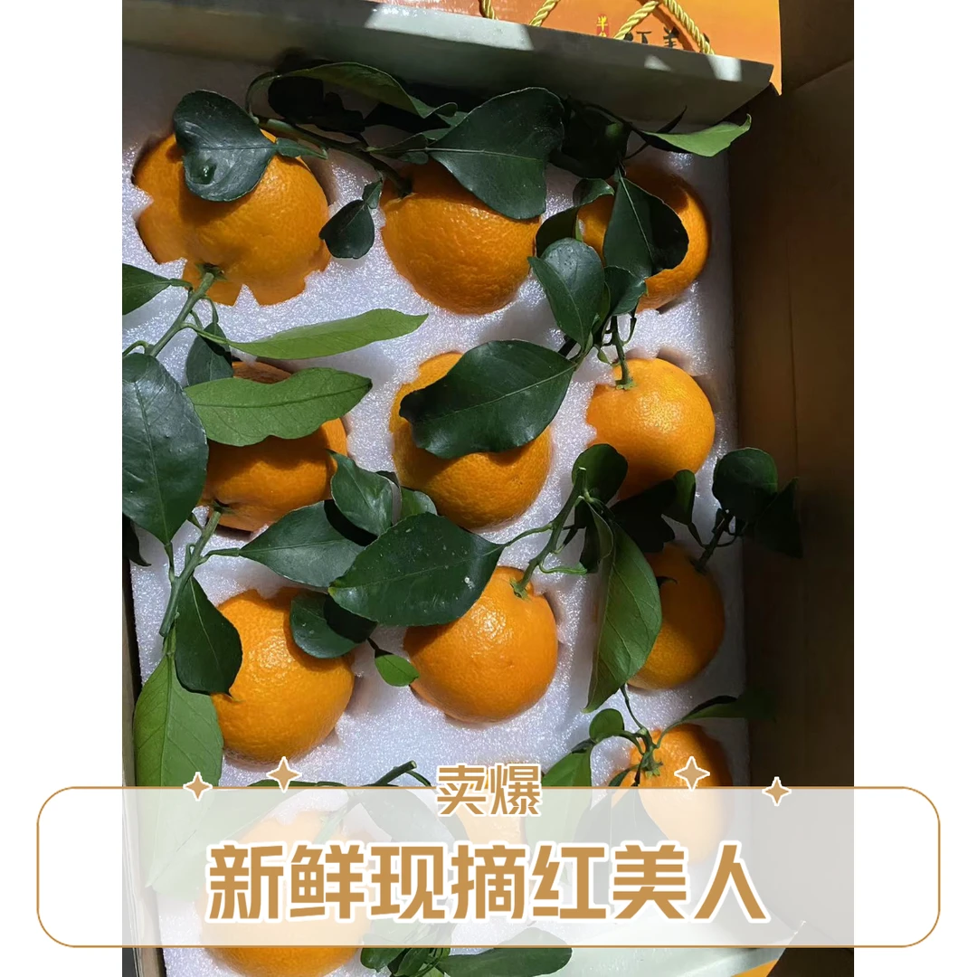 精品红美人 礼盒装送人有牌面 价格实惠