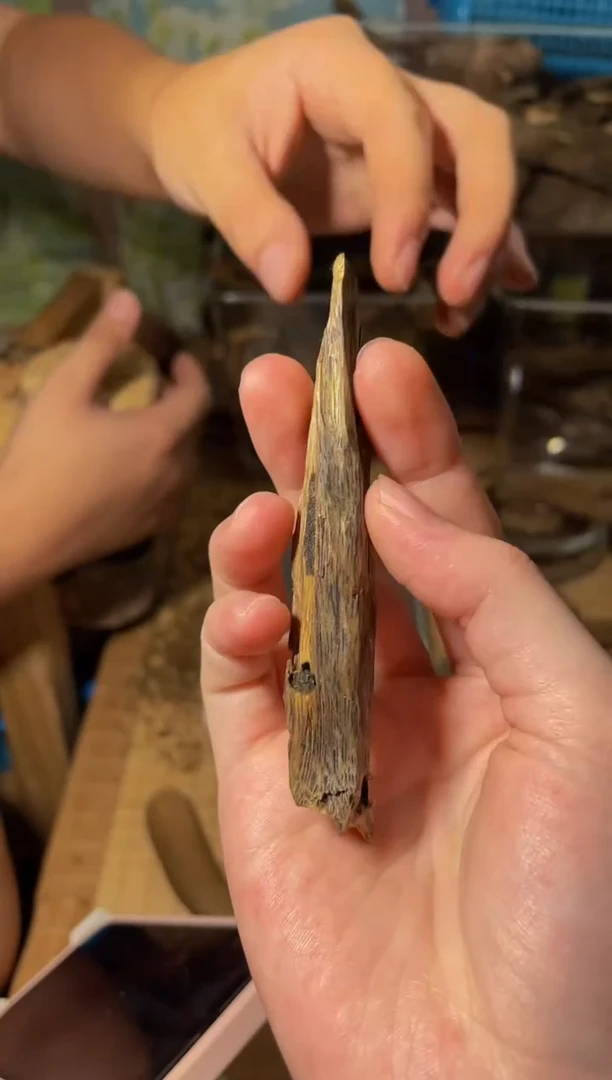 沉香碎屑沉香虫漏96