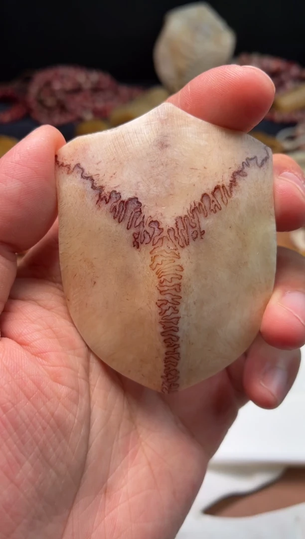 鹿骨其他杂件040-母鹿三界