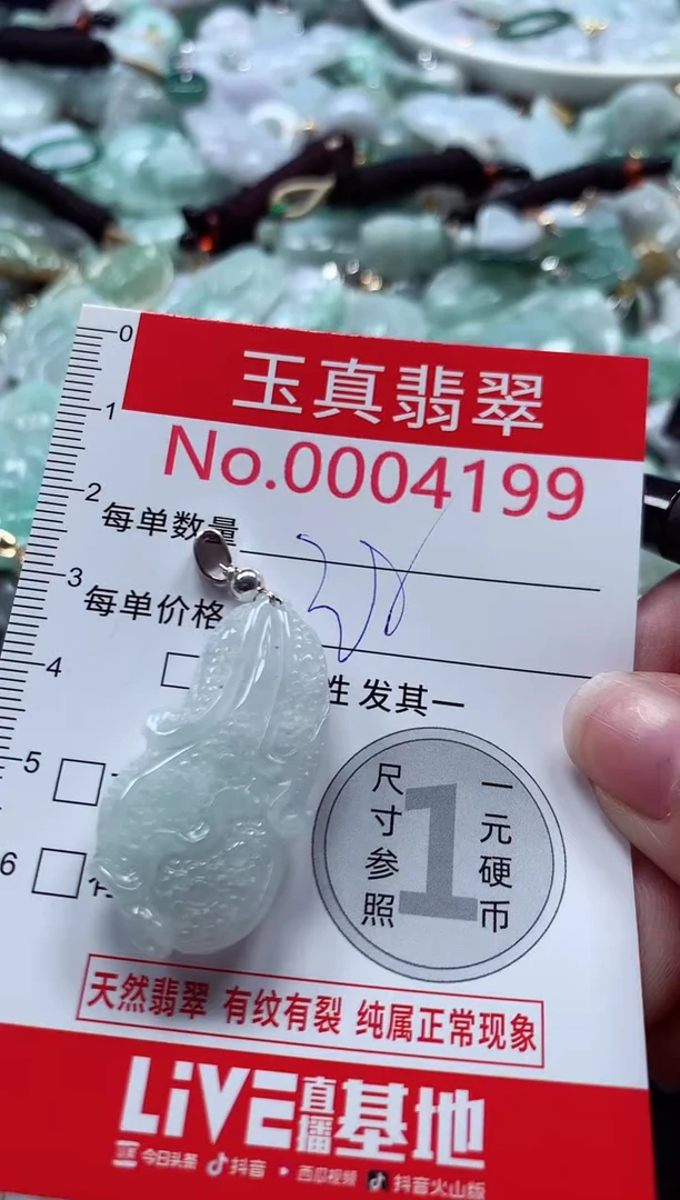 吊坠(不含链)未镶嵌翡翠4199