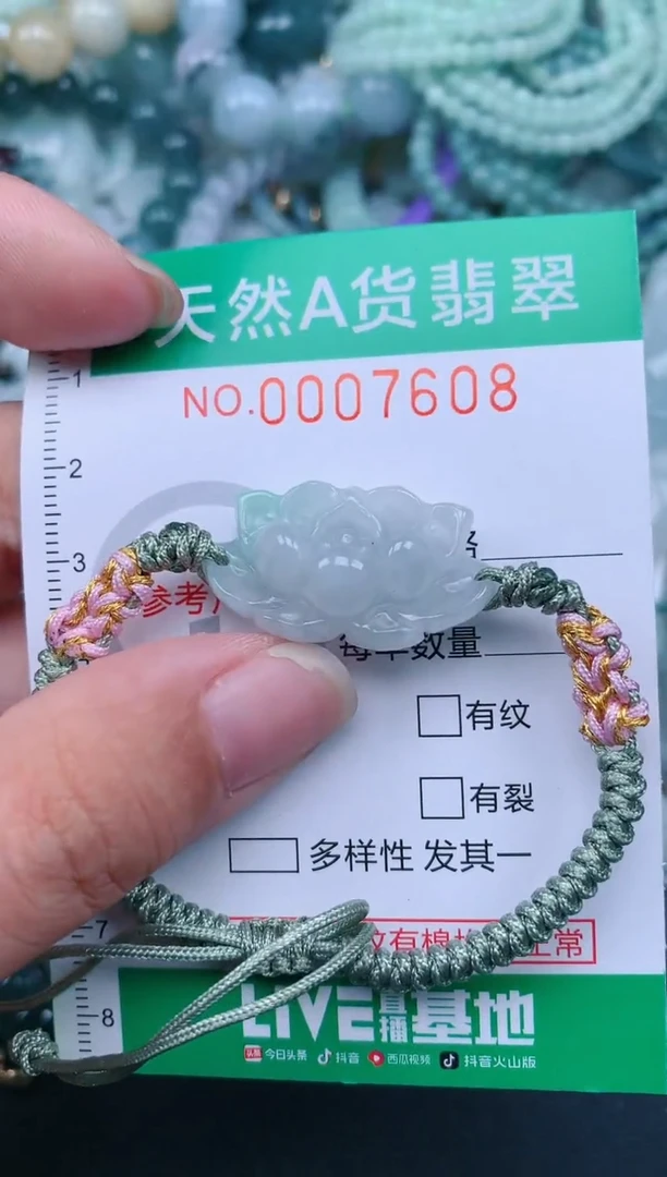 翡翠未镶嵌颈饰.0007608