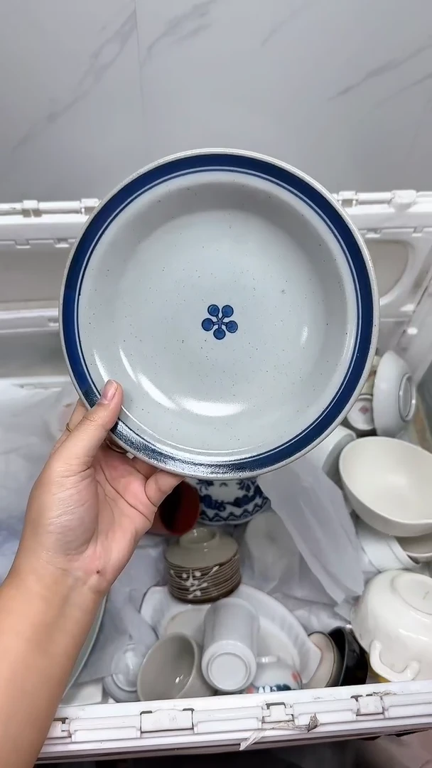 【闪购商品】485回流瓷器默认微瑕，18.8包邮