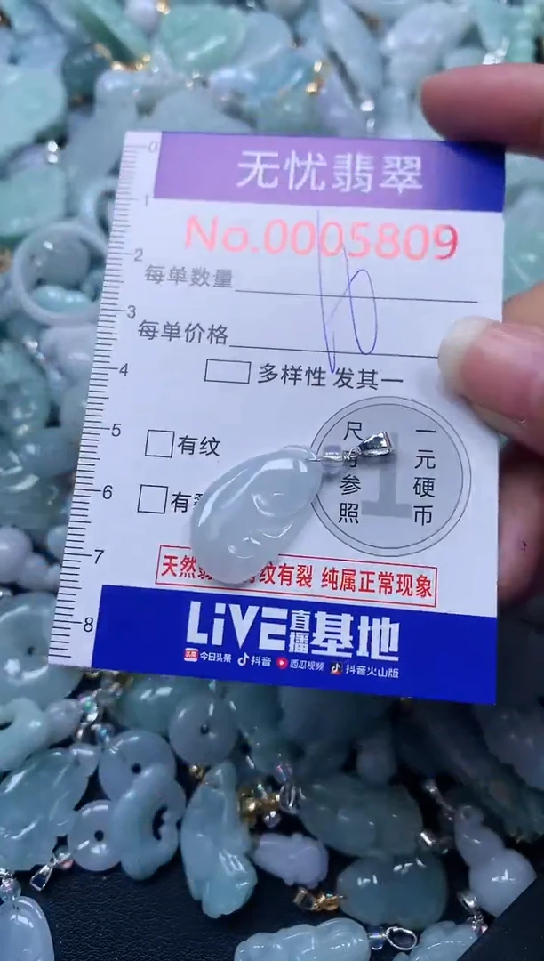 颈饰未镶嵌翡翠5809