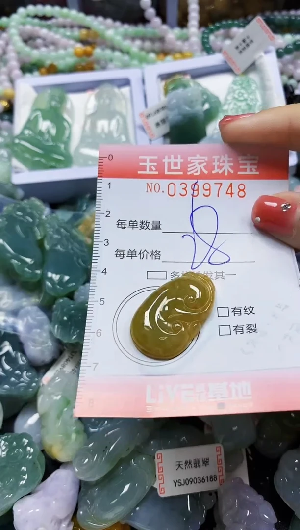 颈饰未镶嵌翡翠闪购0399748