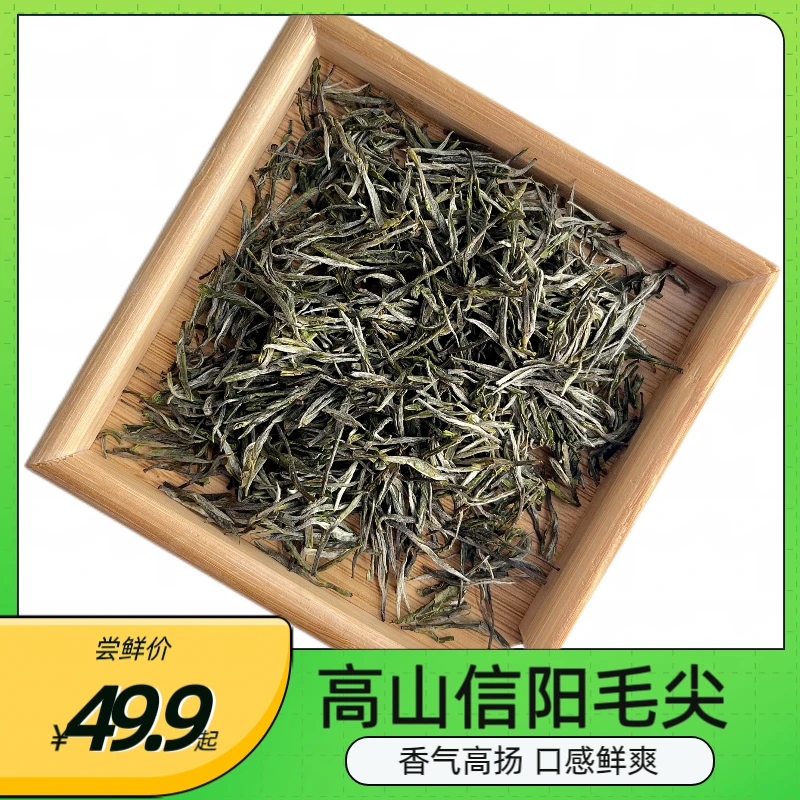 2025年信阳毛尖茶叶高山头采新茶正宗原产地明前绿茶 一芽一叶