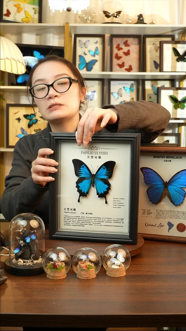 天堂凤蝶-中文（10寸欧式黑框）A129