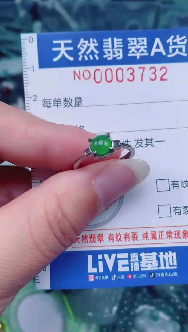 颈饰未镶嵌翡翠00003732