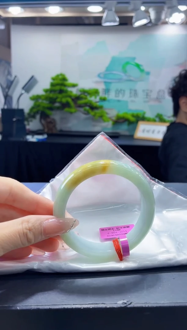 未镶嵌手镯翡翠9