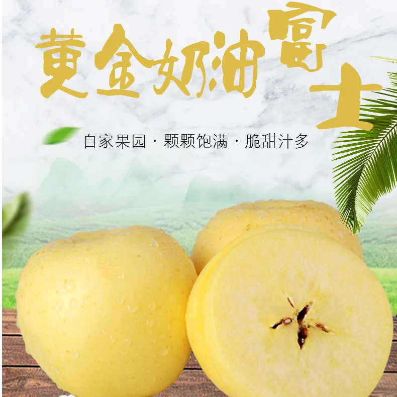 正宗烟台奶油富士金苹果脆甜多汁富士 规格：75mm-80mm