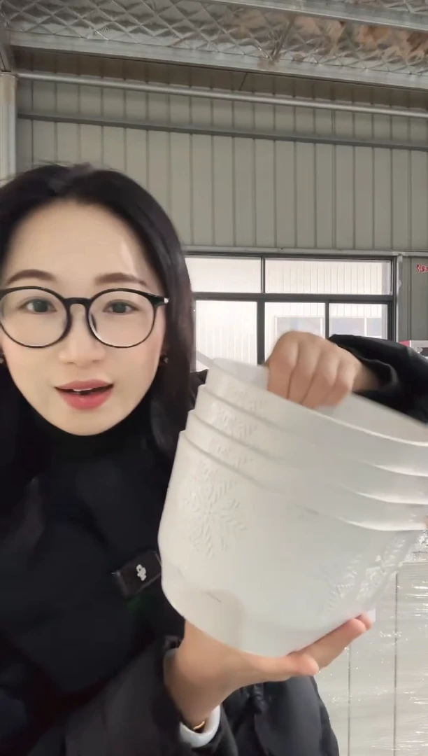 【闪购商品】塑料雪花盆白色2只装