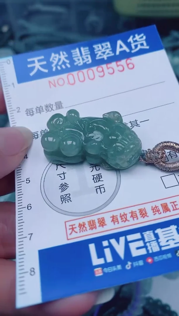 颈饰未镶嵌翡翠00009556