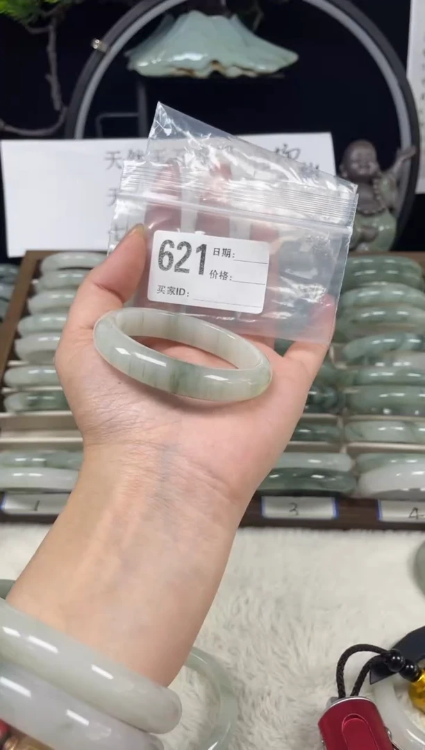 未镶嵌手镯石英质玉（天山翠）621