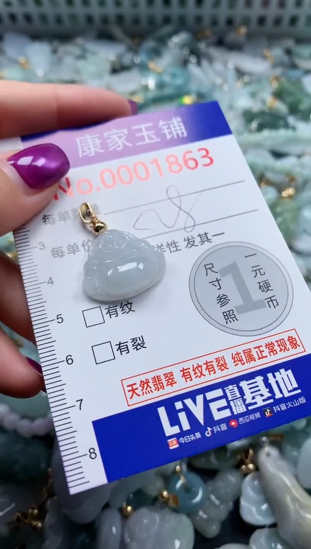 颈饰未镶嵌翡翠1863