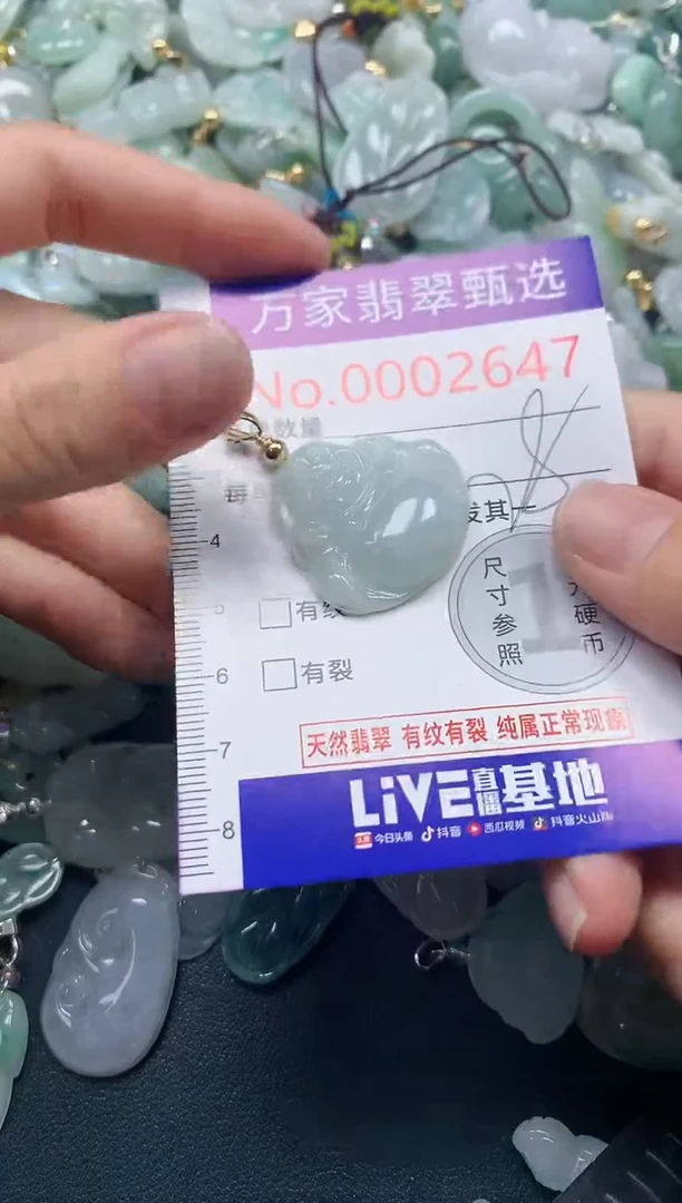 吊坠(不含链)未镶嵌翡翠2647