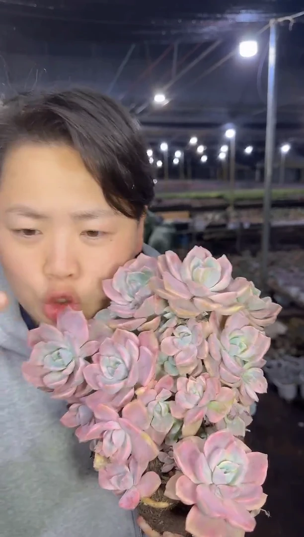 理查德夫人 9.99