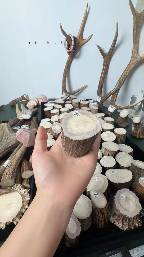 原皮鹿角雕刻料高密度