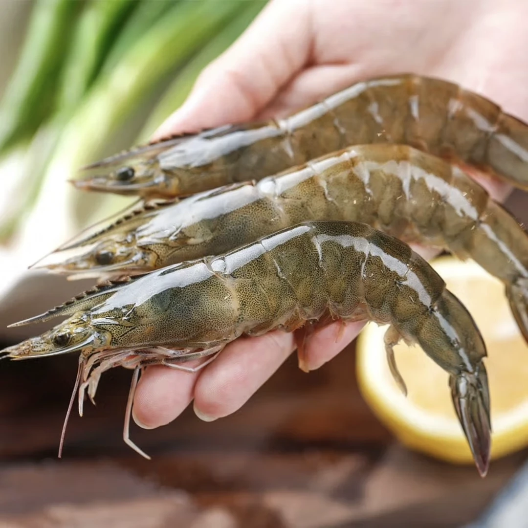 海洋大虾到手3斤  约13-15cm/只  排盘单冻非活发
