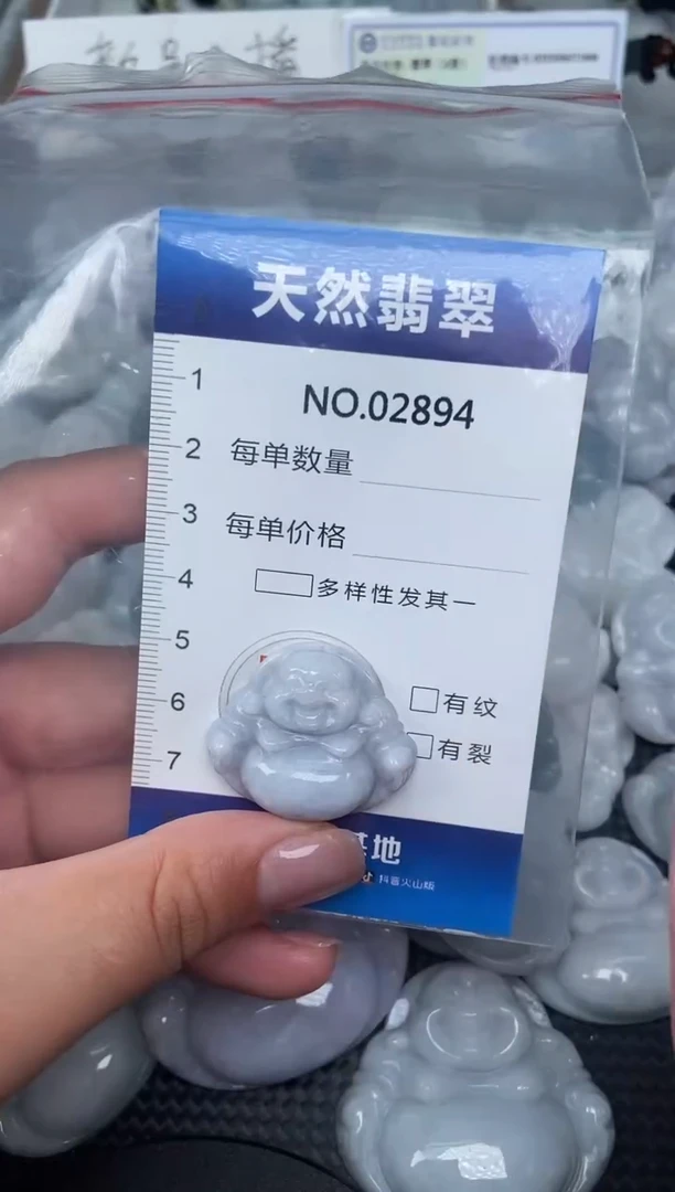 颈饰未镶嵌翡翠纯天然A货翡翠2894