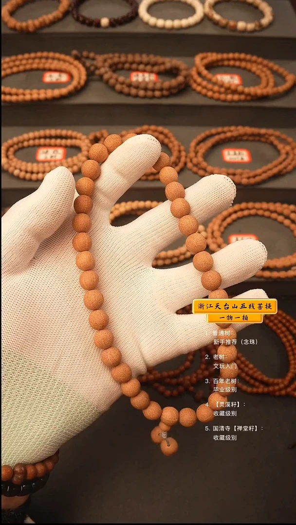 吊坠五线菩提y手持