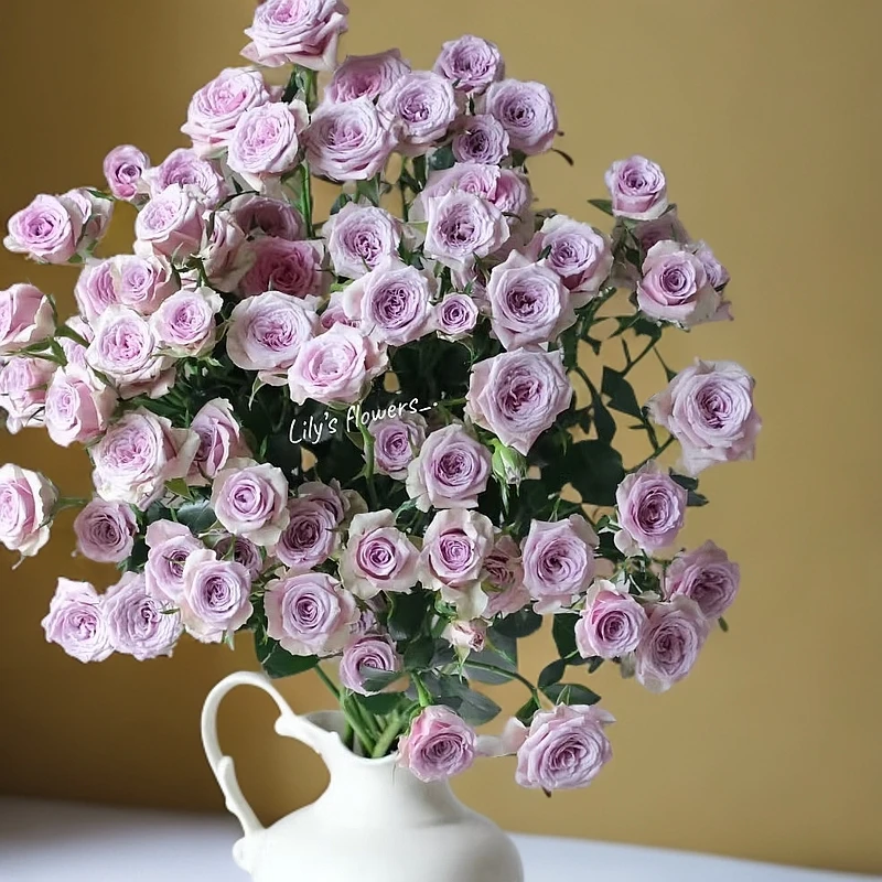 莱拉多头玫瑰10支B级