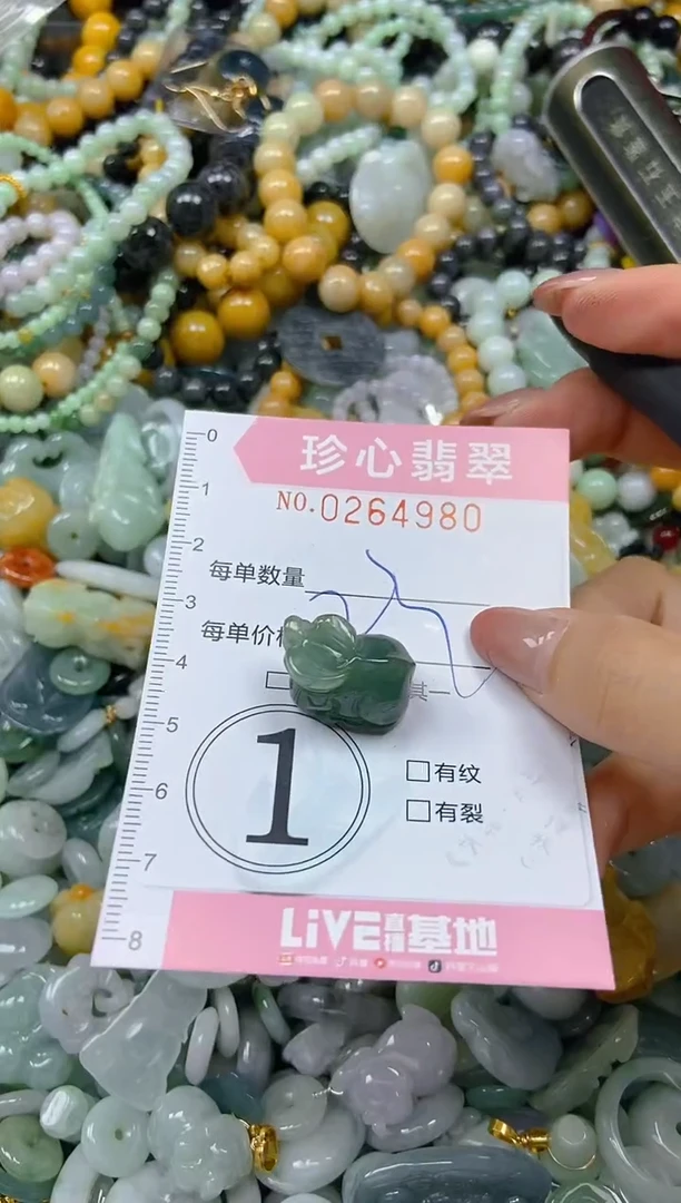 翡翠未镶嵌颈饰闪购0264980