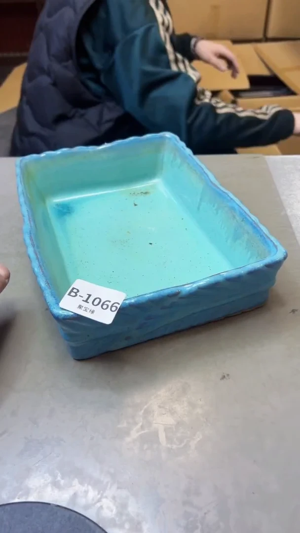 【闪购商品】瓷片1066聚宝缘精选二号店