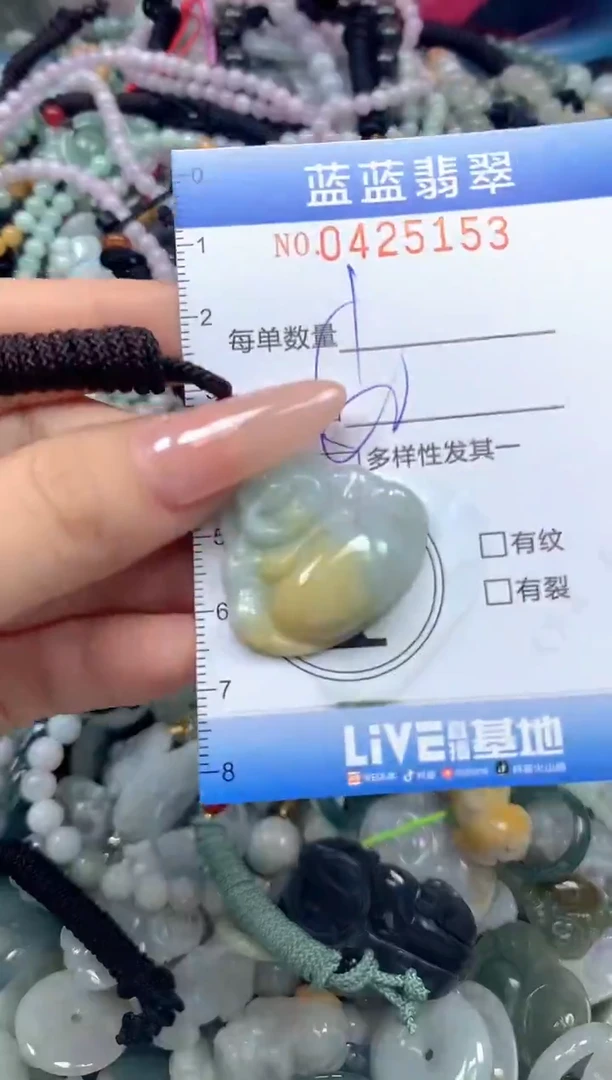 颈饰未镶嵌翡翠闪购0425153ss