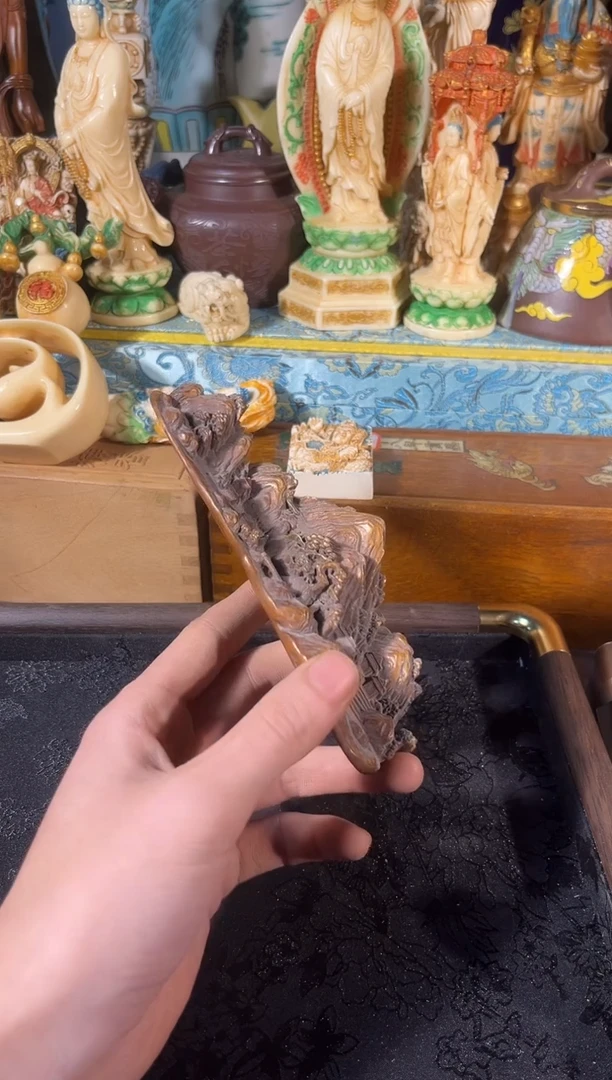 黄杨木11111111111