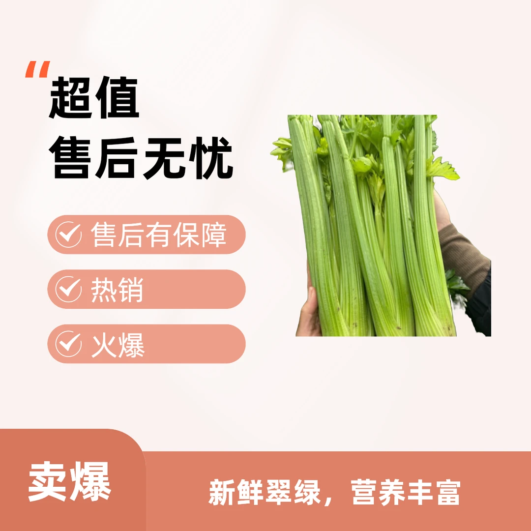 自家种植芹菜 清脆多汁 安全无公害 无农药残留 不打冷 现砍现发。