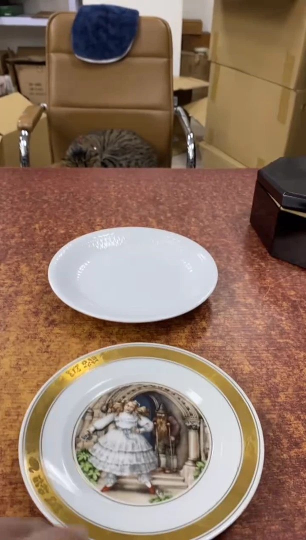 瓷片773小林轩欢迎您