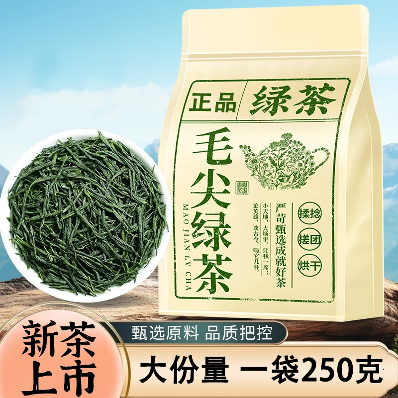 特选毛尖茶叶高山严产新茶浓香型栗香信阳绿茶袋装高级口粮茶