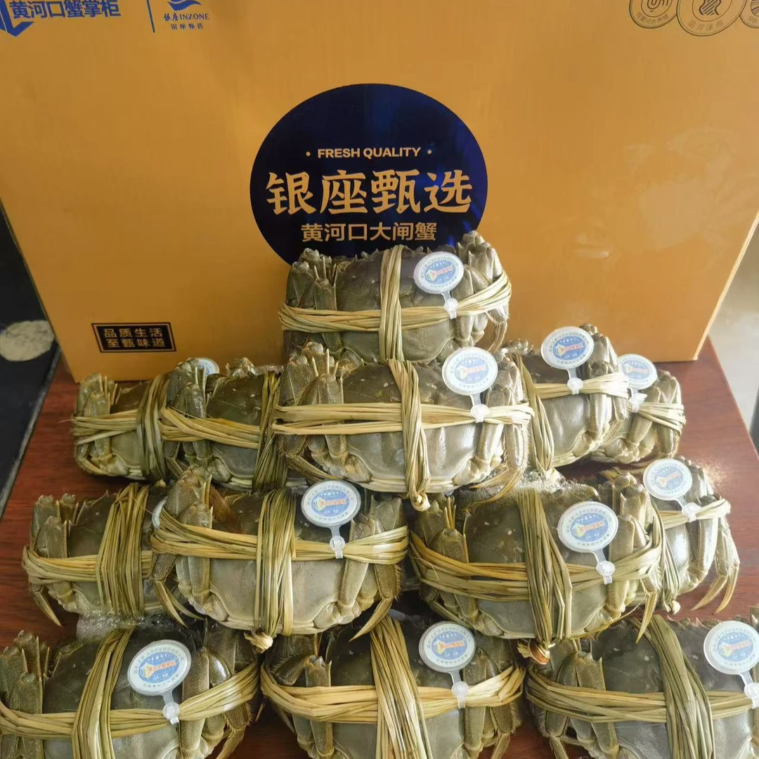 母蟹2.5-3两4只大闸蟹盒装