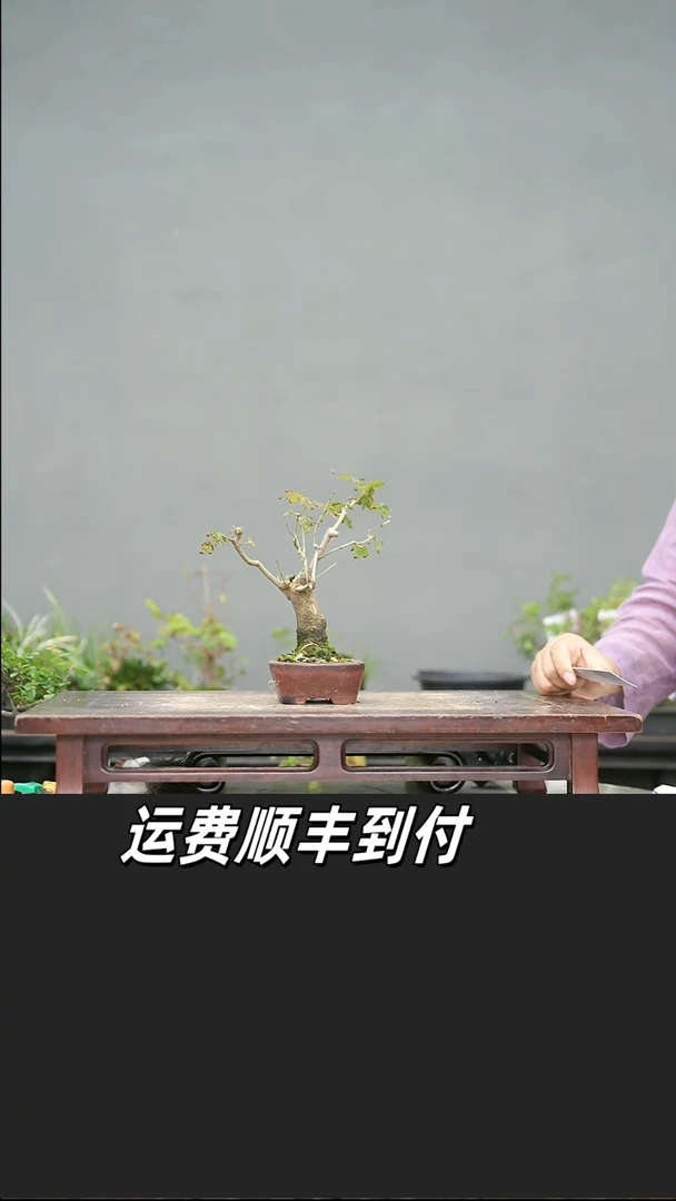 被****云37