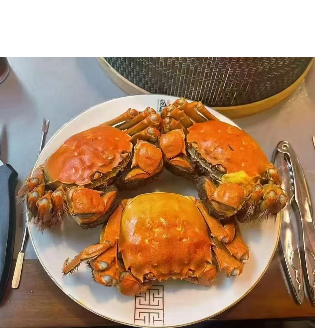 2025年升级版 冰镇龙虾  顺丰包邮