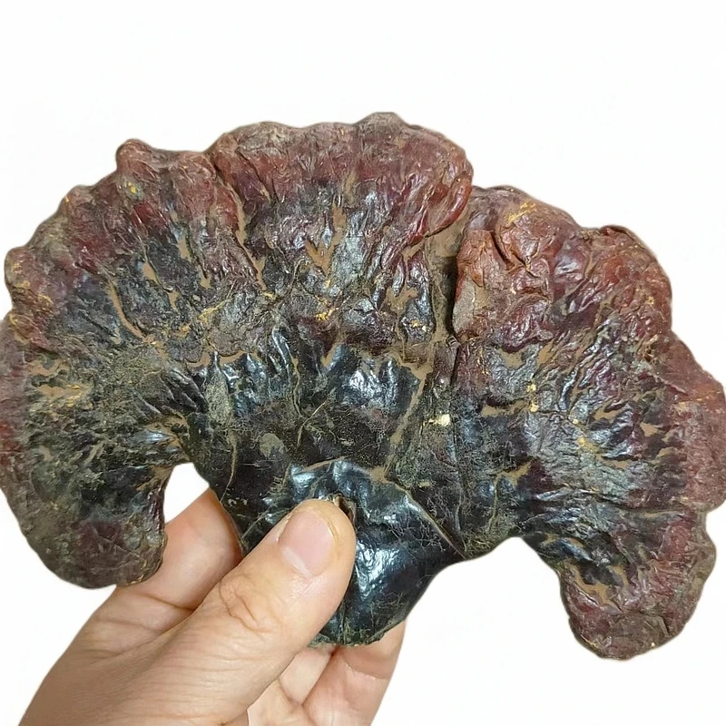 【山珍佬5斤款西藏花花-】山货泡料以直播间为准