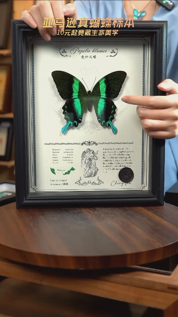 爱神凤蝶重逢艺术款