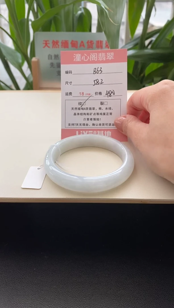 未镶嵌手镯翡翠58.5圈口编码b63