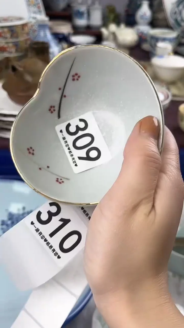 藏*309