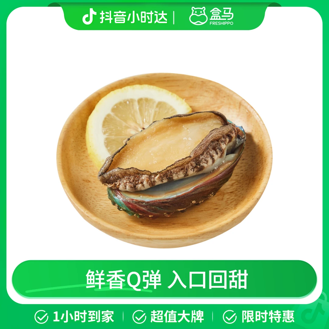 鲜活小鲍鱼 1只(18-22只/500g)