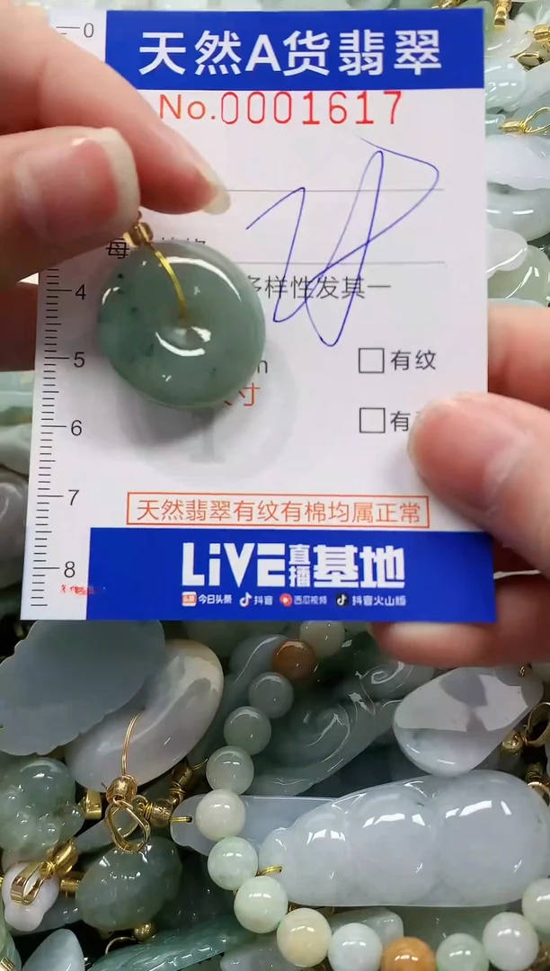 颈饰未镶嵌翡翠纯天然a货翡翠