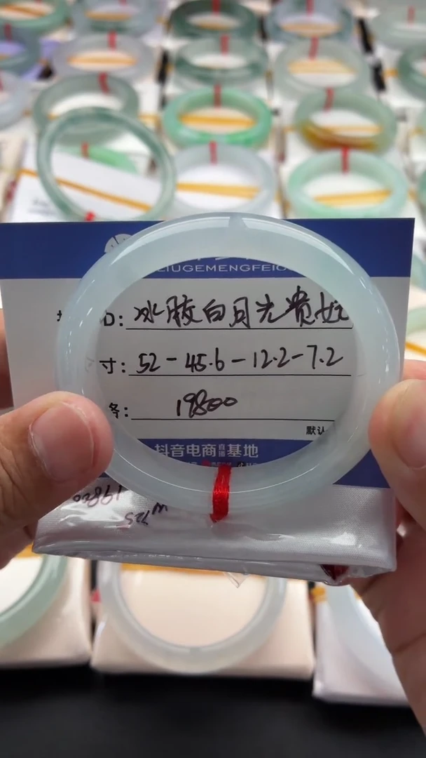 未镶嵌手镯（贵妃镯）翡翠冰胶白月光 48小时鉴赏期
